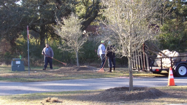 KODAK Digital Still Camera