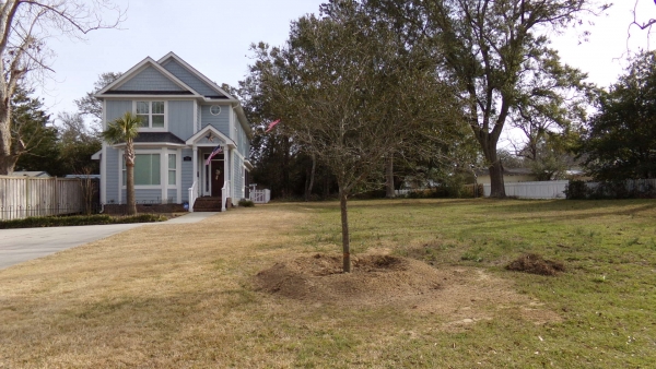 KODAK Digital Still Camera