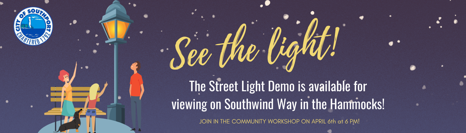 See the Light Street Light Demo